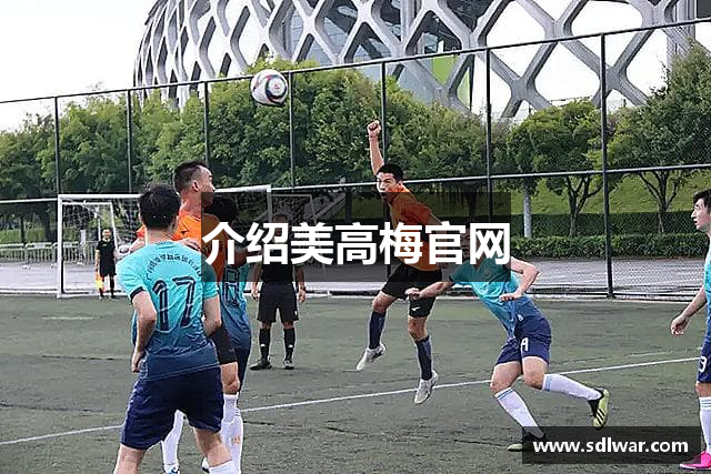 介绍美高梅官网